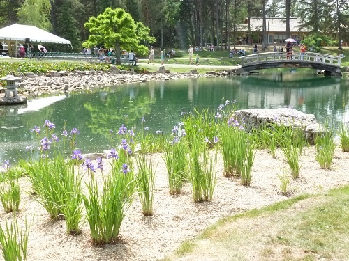 A scene from Kurimoto Japanese Garden