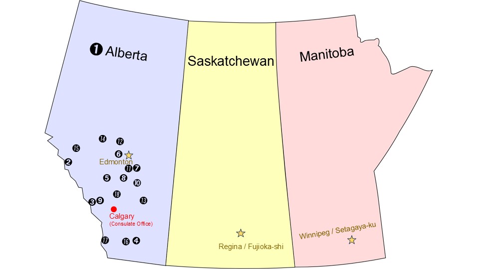 twinning map